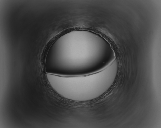 X0000098091160200804040721
