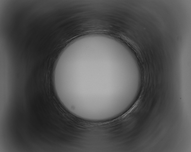 X0000098091161200804040721