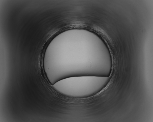 X0000098091162200804040721