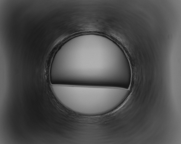 X0000098091163200804040720