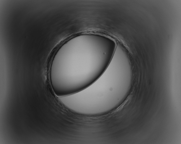 X0000098091165200804040720