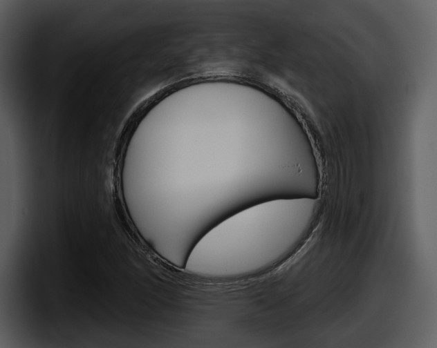 X0000098091166200804040720