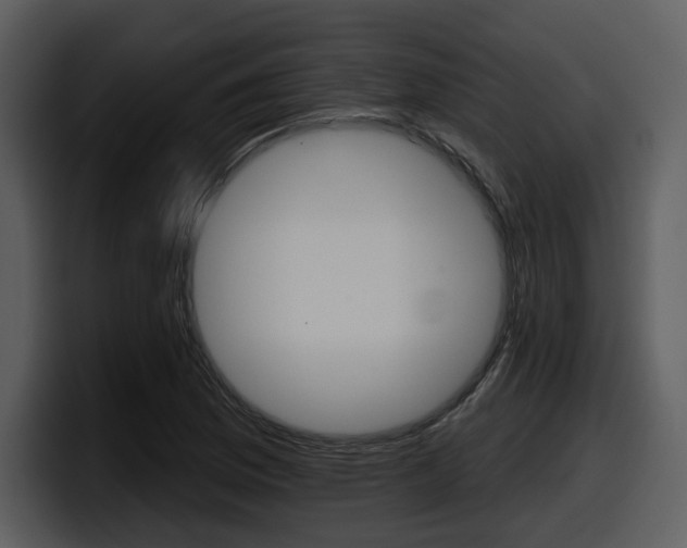 X0000098091169200804040720