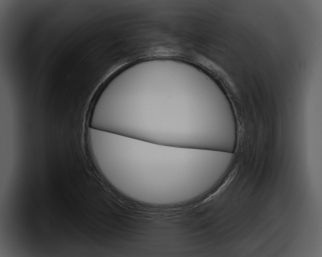 X0000098091170200804040720