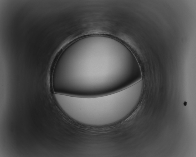 X0000098091173200804040720