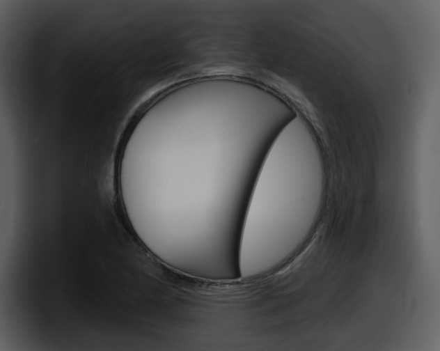 X0000098091174200804040720