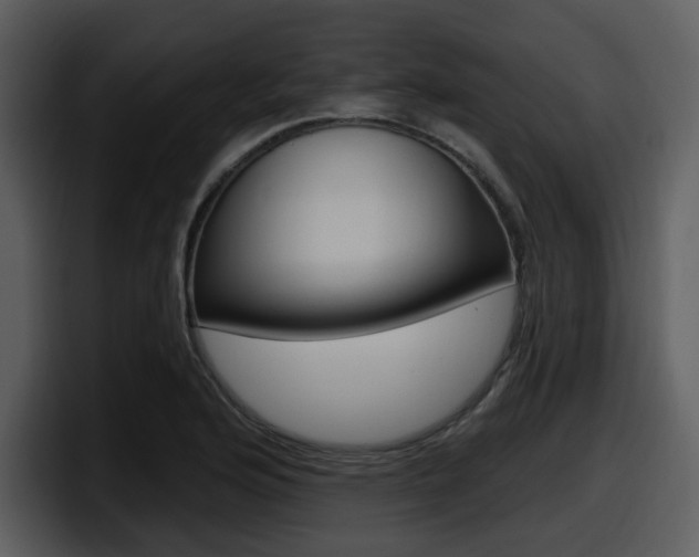 X0000098091176200804040720