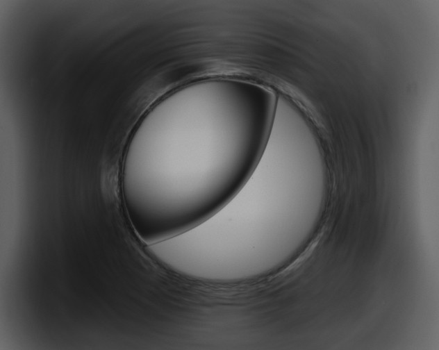 X0000098091177200804040720