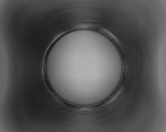 X0000098091178200804040720