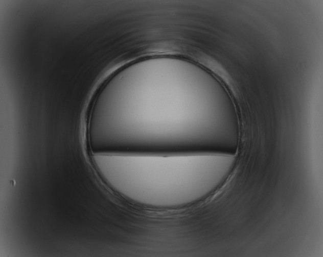 X0000098091179200804040720