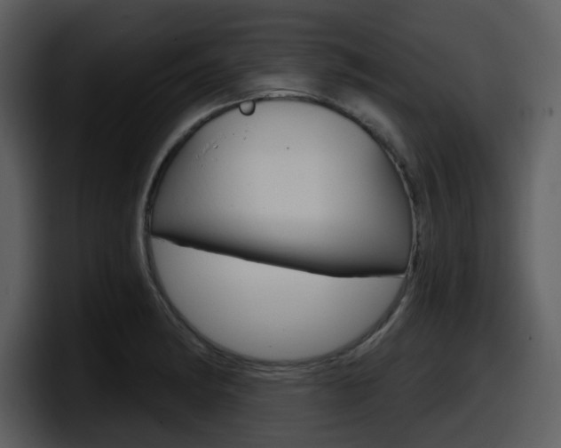 X0000098091182200804040720