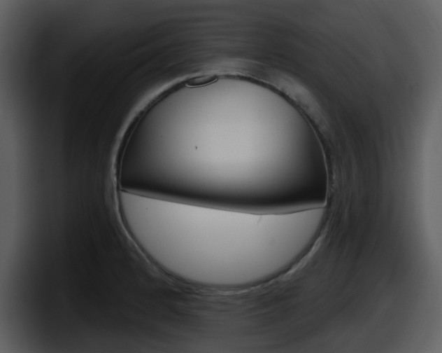 X0000098091184200804040720
