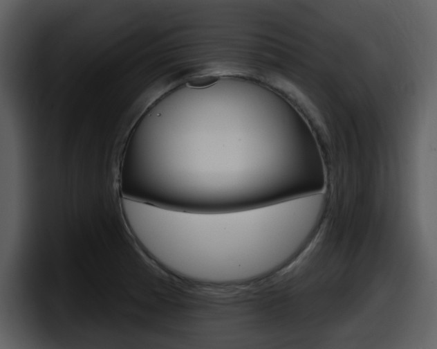 X0000098091185200804040720