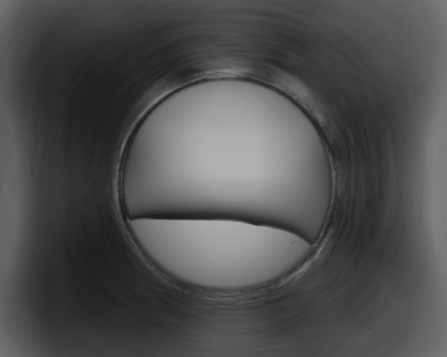 X0000098091186200804040720