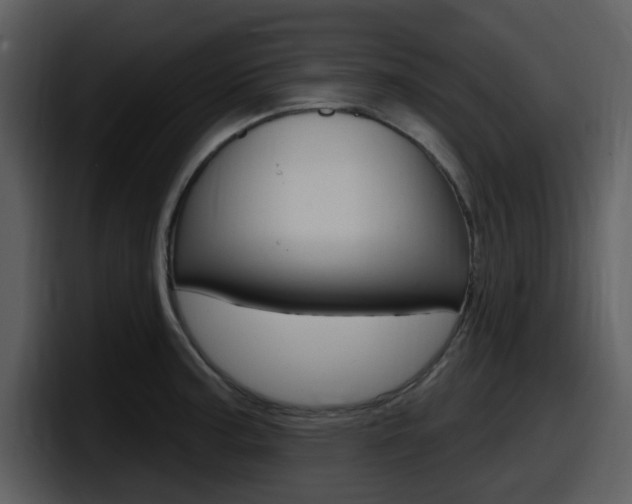 X0000098091187200804040720