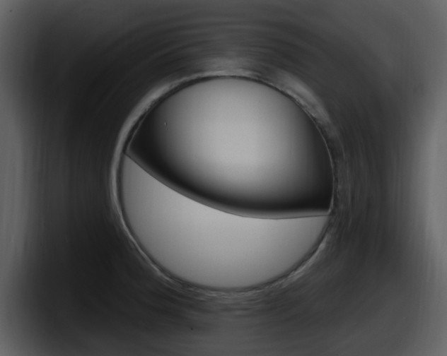 X0000098091188200804040720