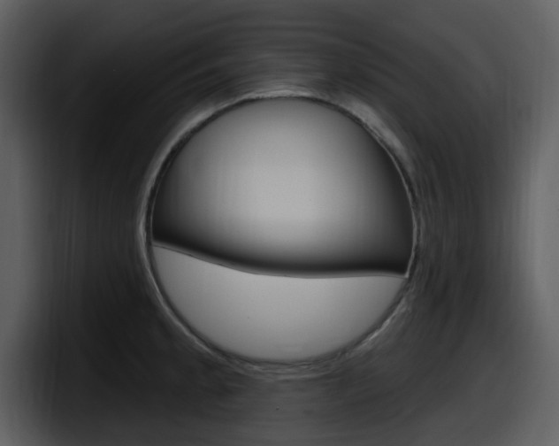 X0000098091189200804040720