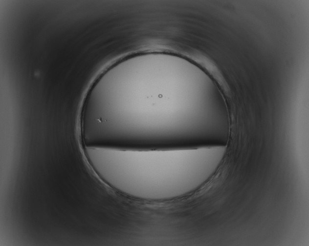 X0000098091191200804040720