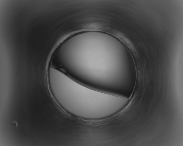 X0000098091192200804040720