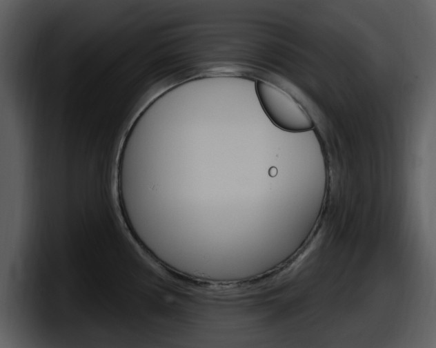 X0000098091194200804040720