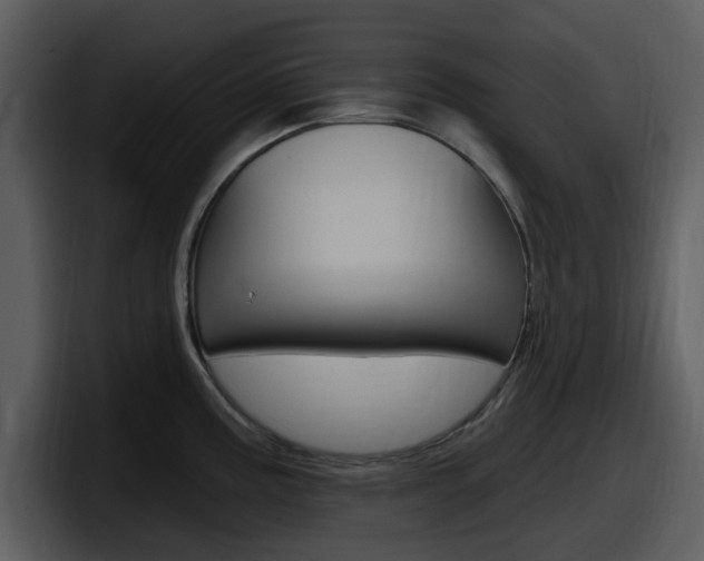 X0000098091195200804040720