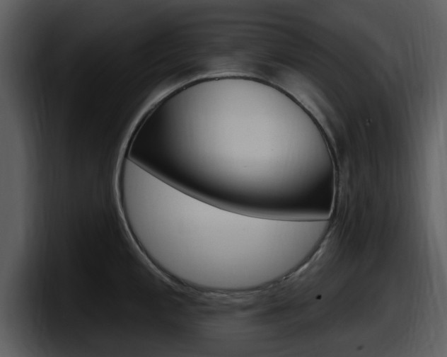 X0000098091197200804040720