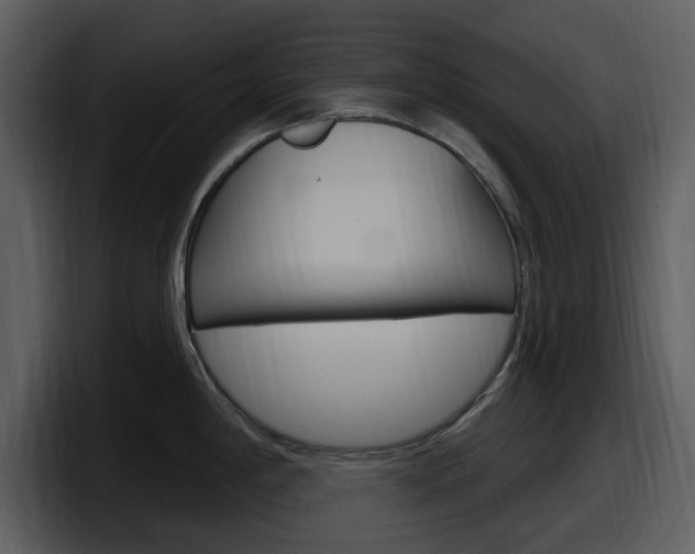 X0000098091198200804040720