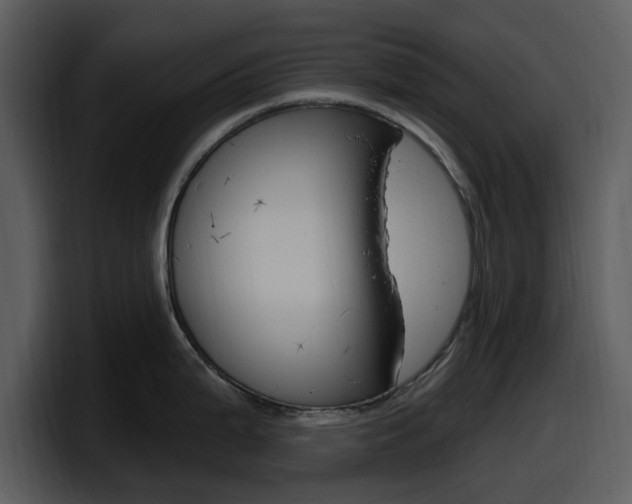 X0000098091199200804040720