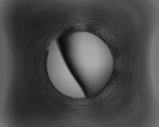 X0000098091201200804040719