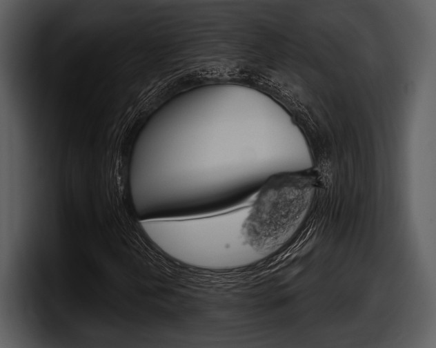 X0000098091202200804040719