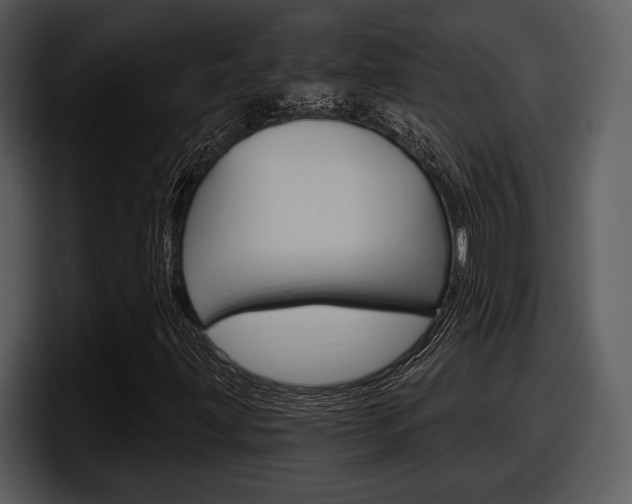 X0000098091203200804040719