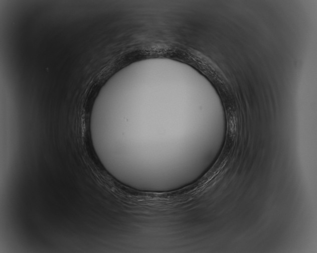 X0000098091204200804040719