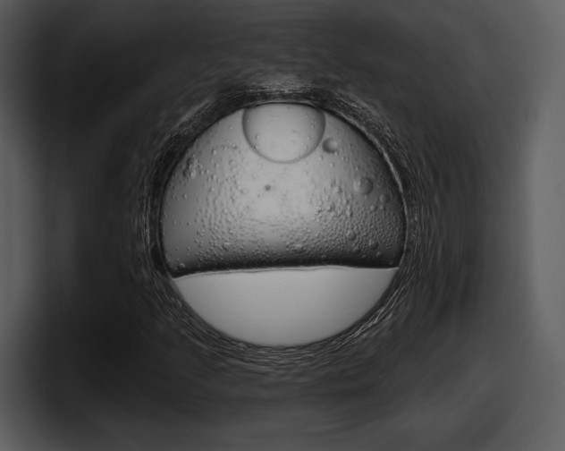 X0000098091205200804040719