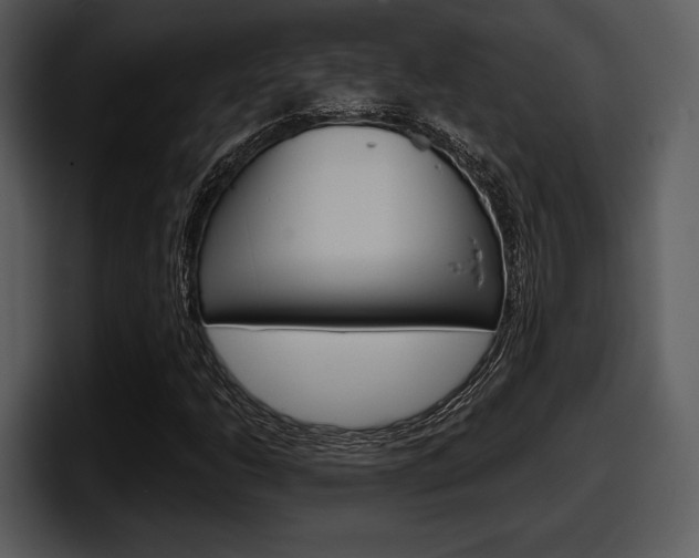 X0000098091206200804040719