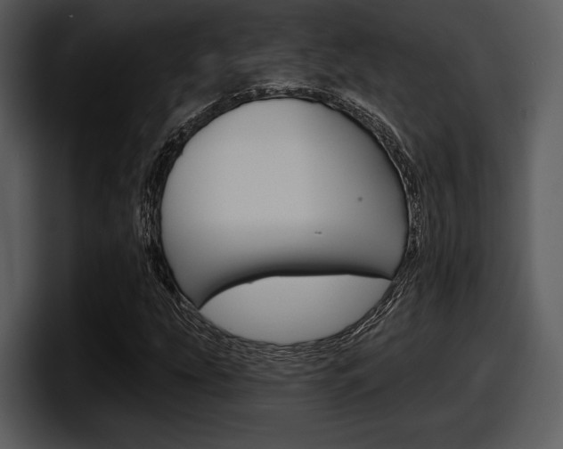 X0000098091207200804040719