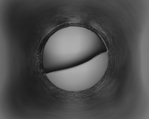 X0000098091208200804040719