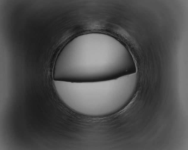 X0000098091209200804040719