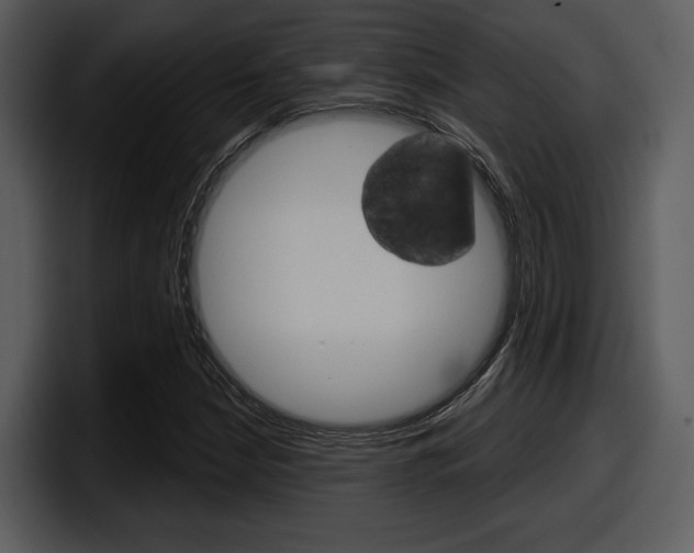 X0000098091210200804040720