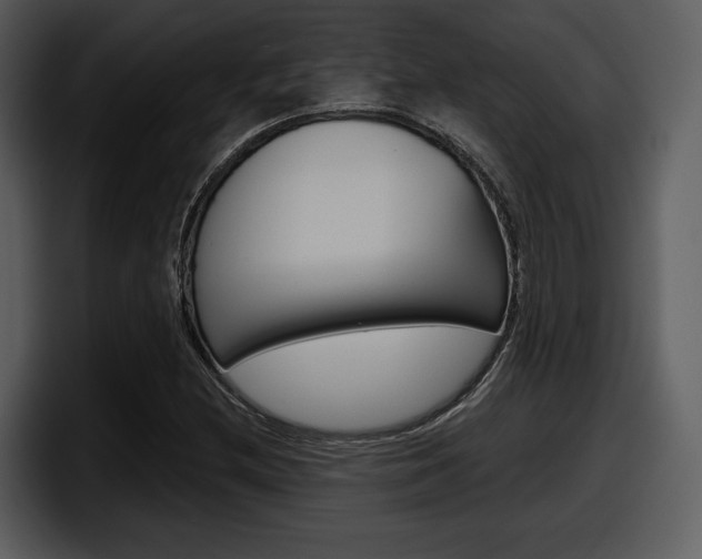 X0000098091212200804040720