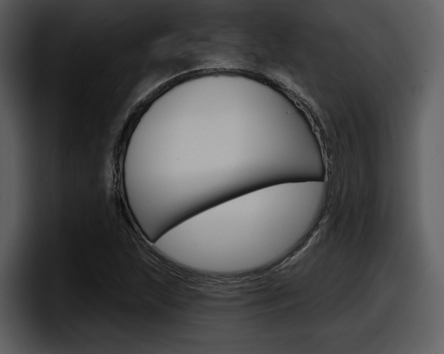 X0000098091215200804040720