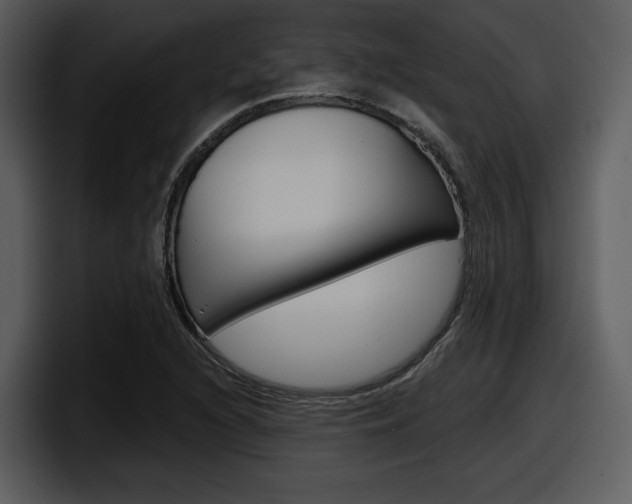 X0000098091216200804040720