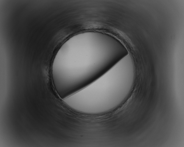 X0000098091217200804040720