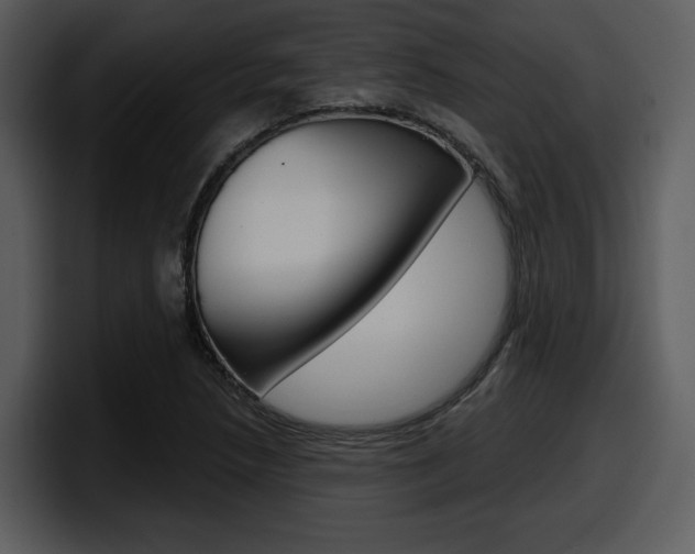 X0000098091218200804040720