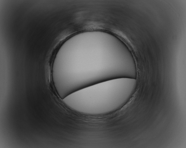 X0000098091219200804040720
