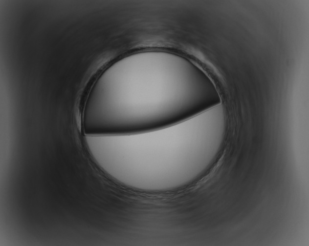 X0000098091221200804040720