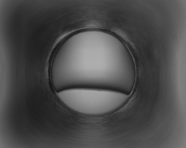 X0000098091222200804040720