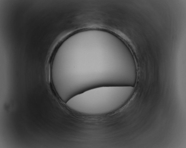 X0000098091223200804040720