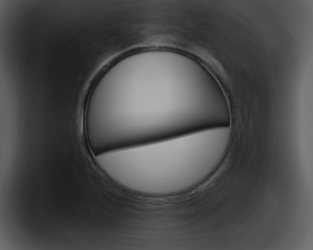 X0000098091224200804040720