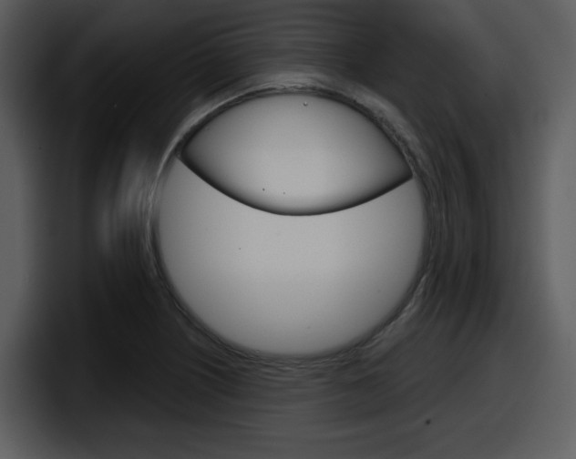 X0000098091226200804040720
