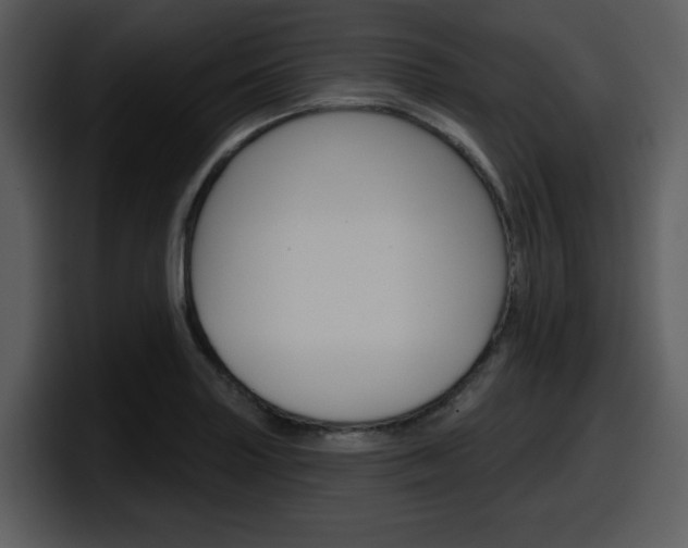 X0000098091227200804040720